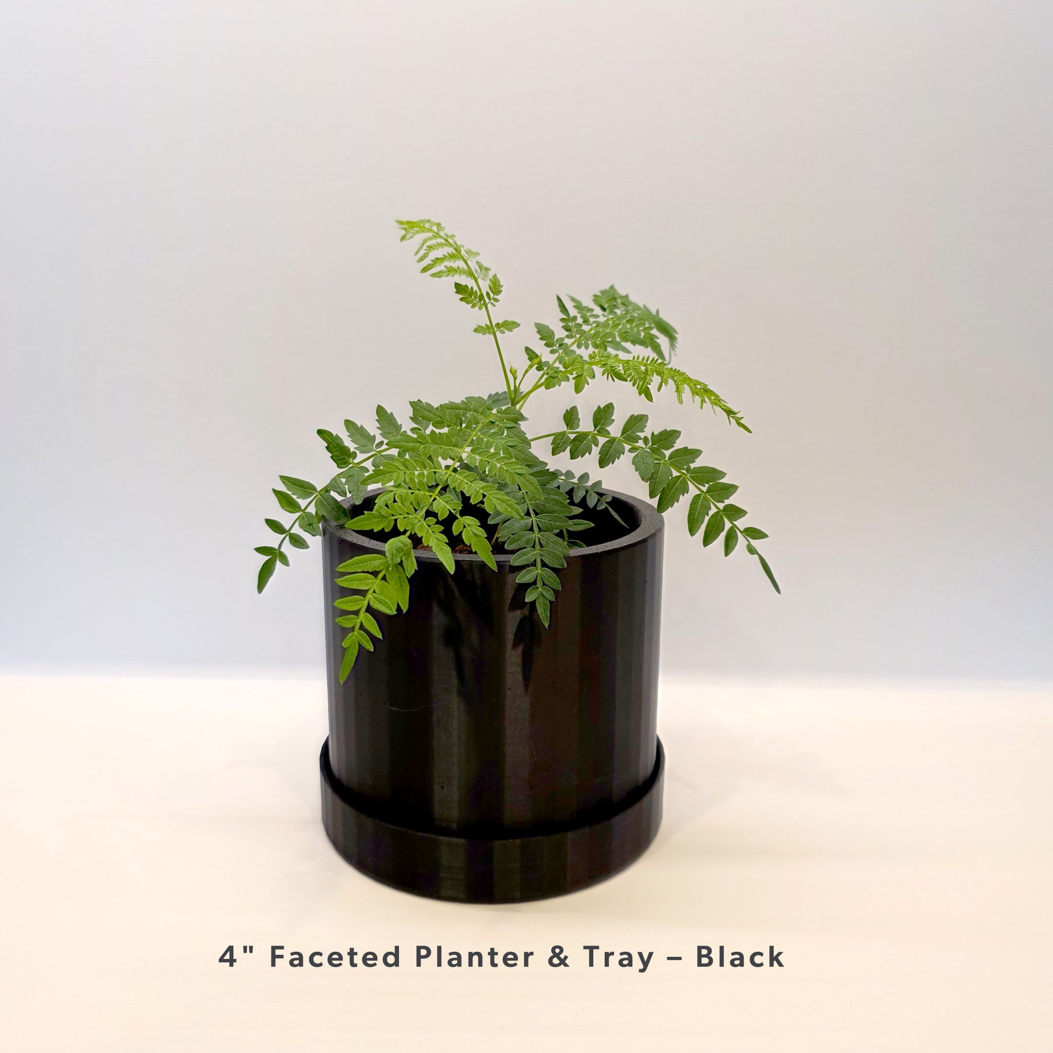 4" Faceted Planter & Tray – Black